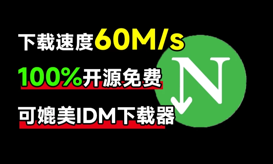 最新NDM中文绿色汉化版[内附详细安装使用教程平替IDM下载器]-咸鱼绅士